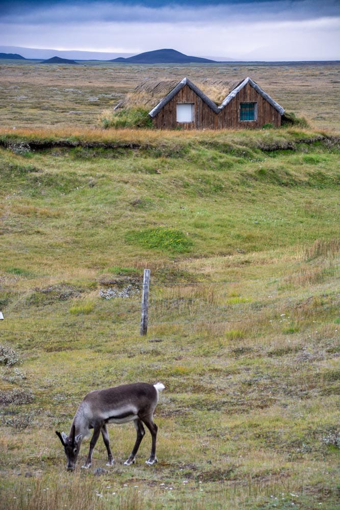 Goodbye Iceland: From Volcanoes to Valleys, Here Is What We Learned