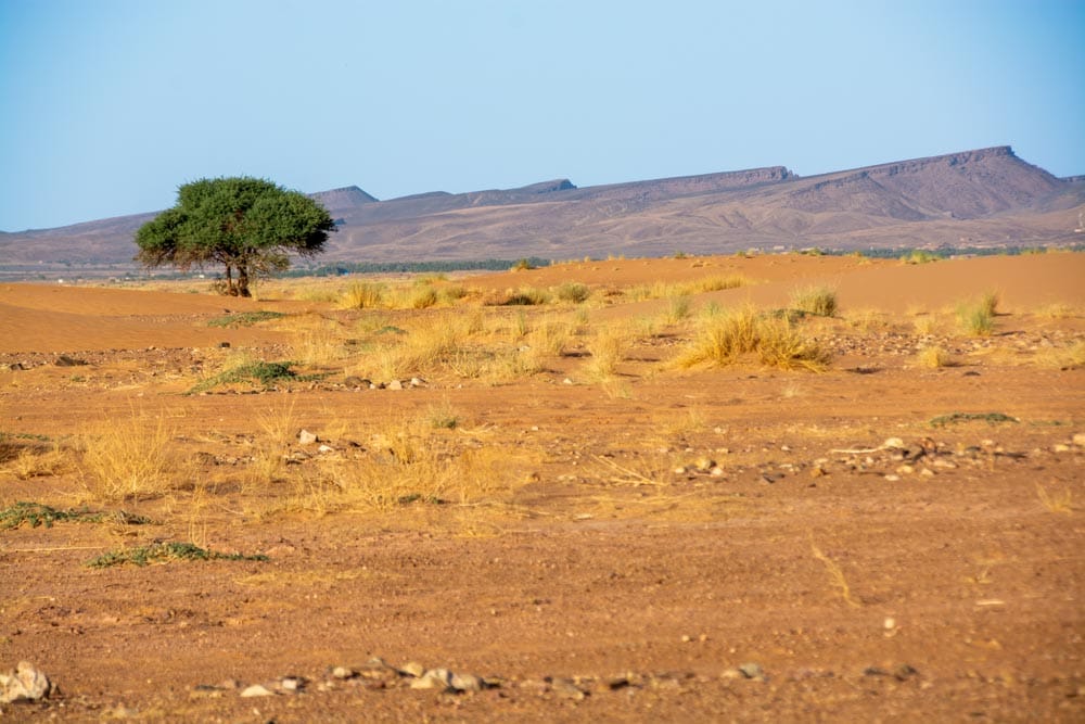 Lost Cities and Local Smiles: The First Glimpse of Morocco