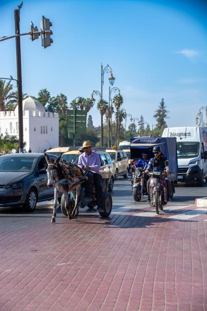 From Desert Solitude to Marrakesh Madness