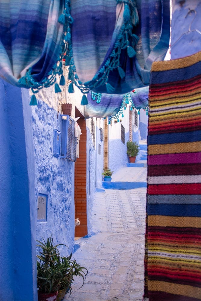 Morocco, Algeria, and an Invisible Line in the Sand