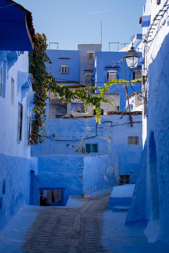 Morocco, Algeria, and an Invisible Line in the Sand