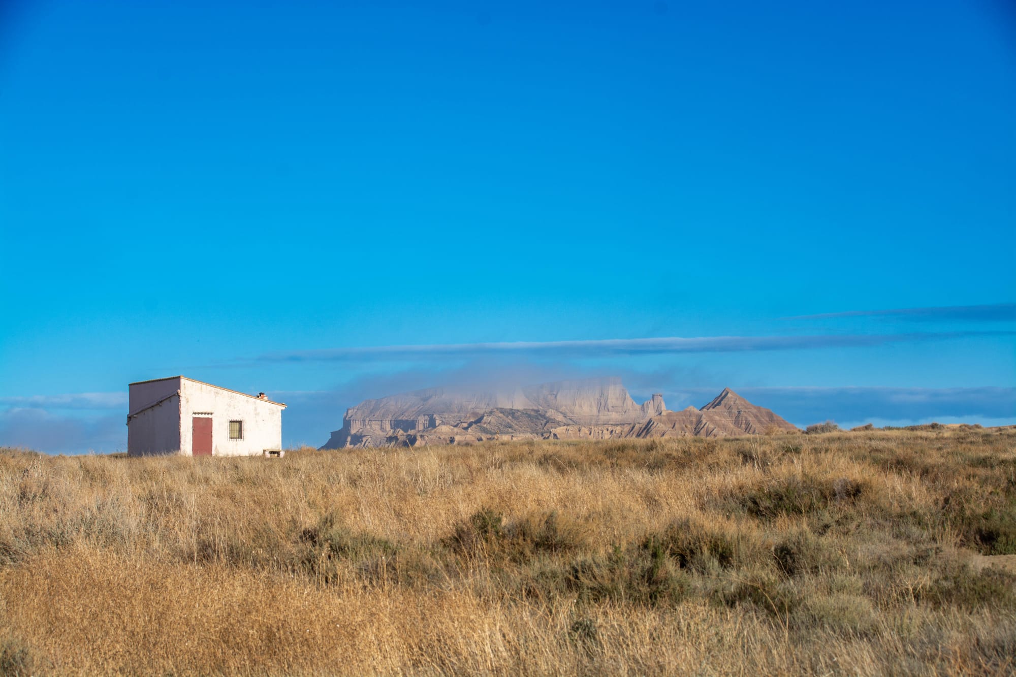 How One Year and Four Journeys Changed our Perspective