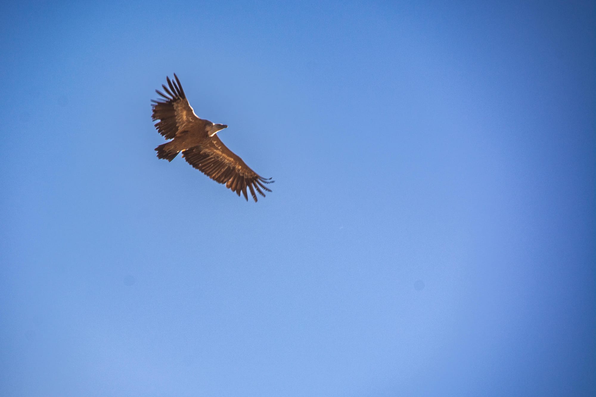 How One Year and Four Journeys Changed our Perspective