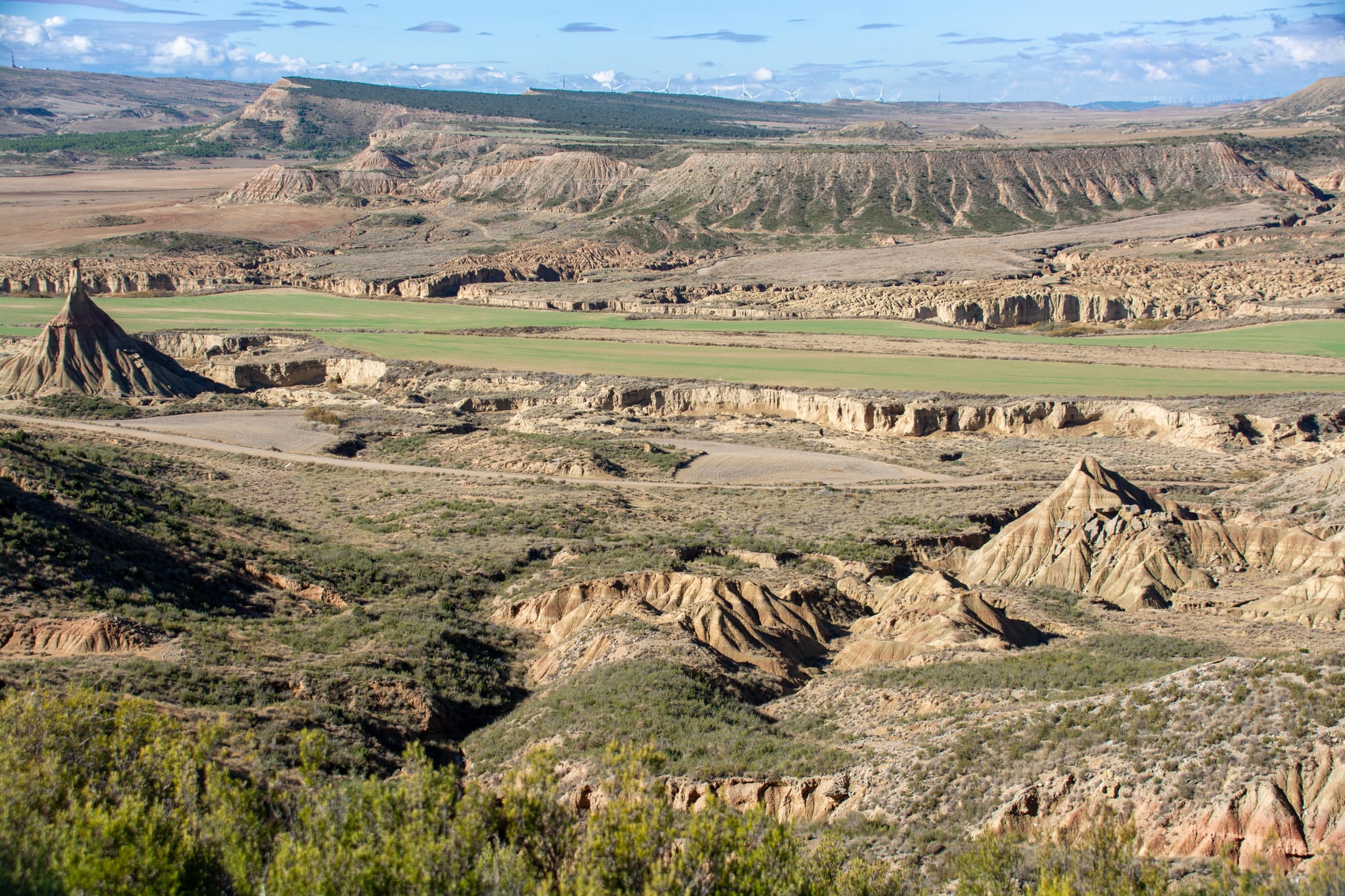 How One Year and Four Journeys Changed our Perspective