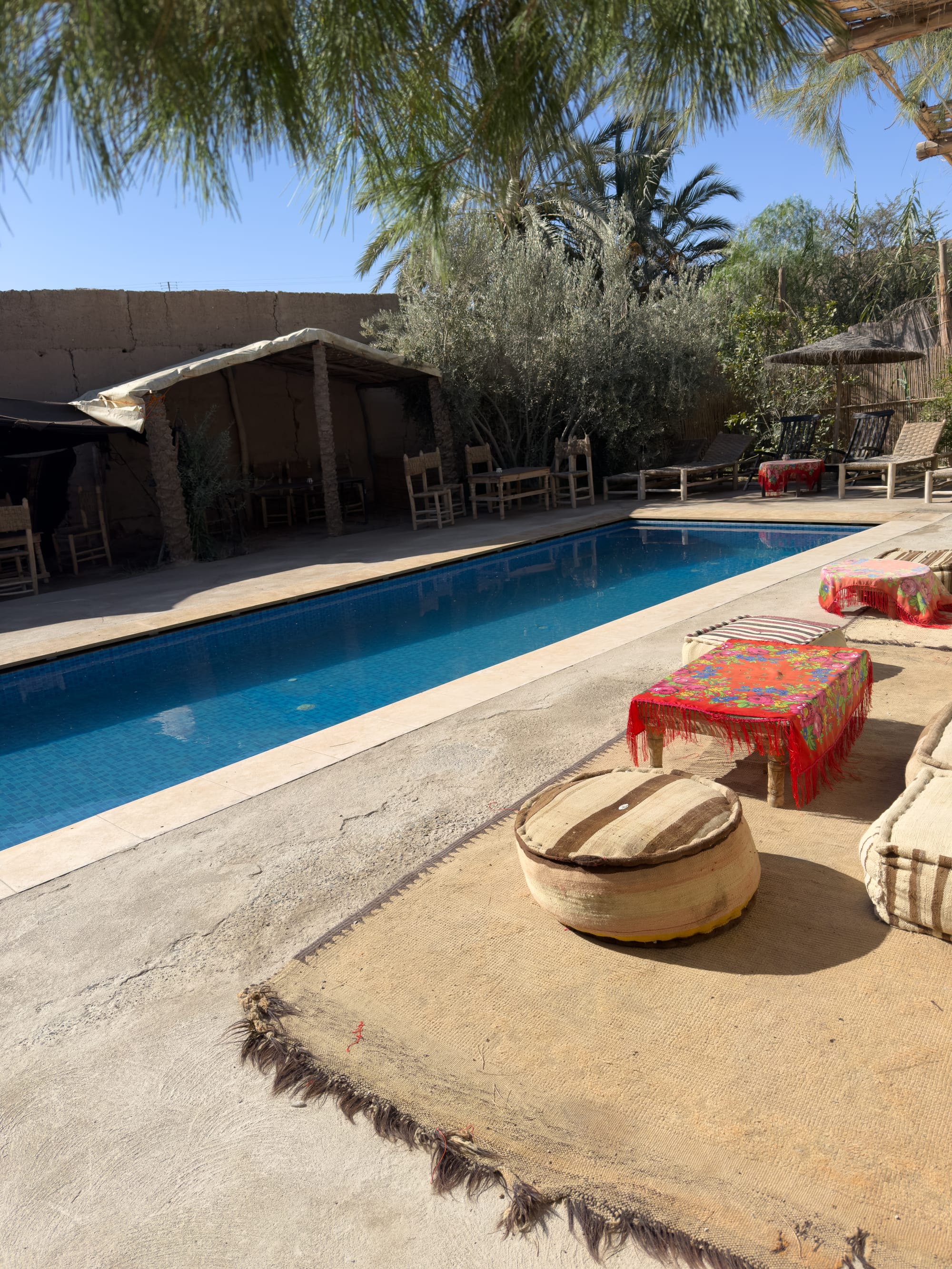 Morocco, Algeria, and an Invisible Line in the Sand