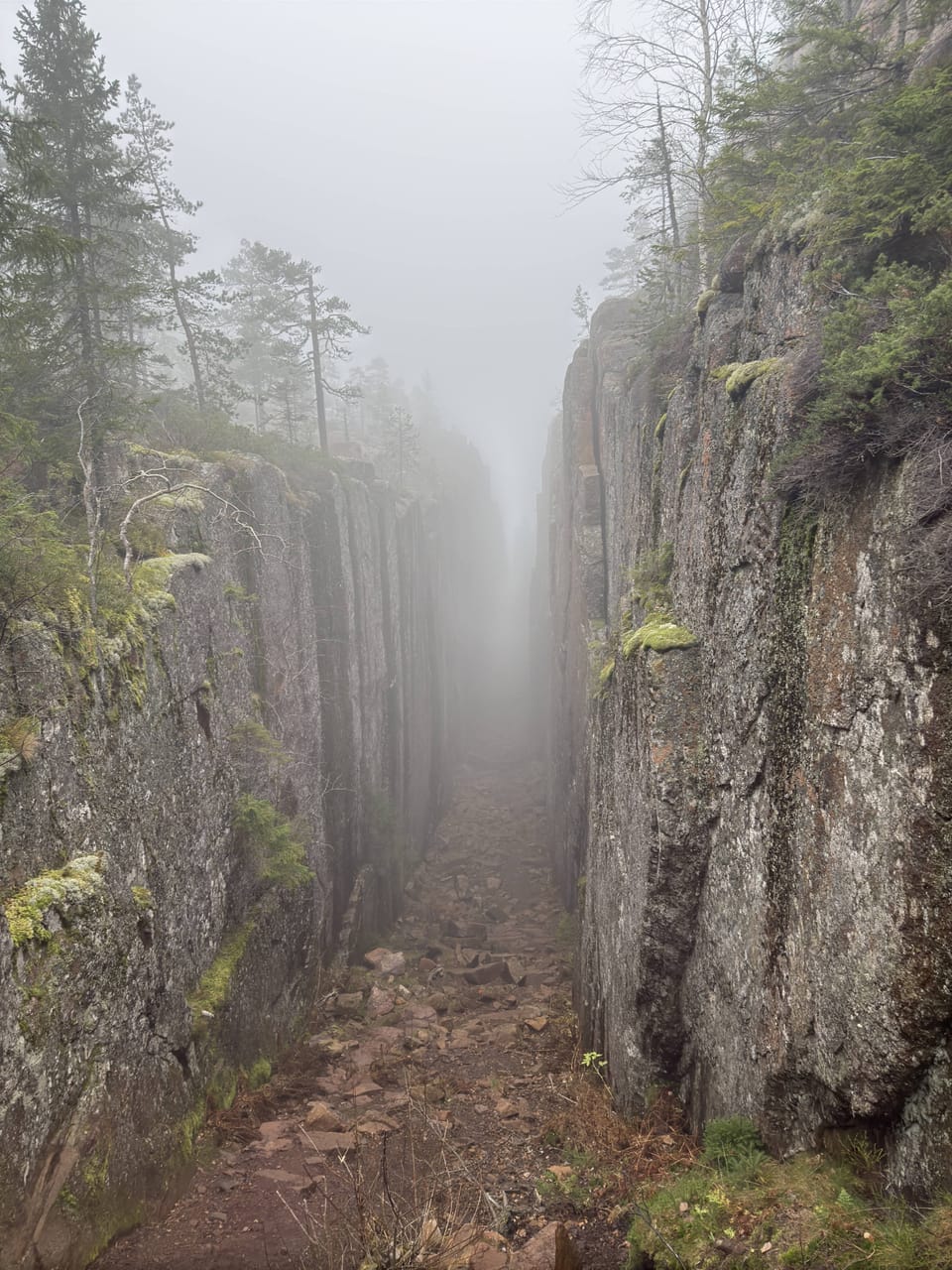 Foggy Trails and Ferry Tails: A Journey from Sweden to Poland