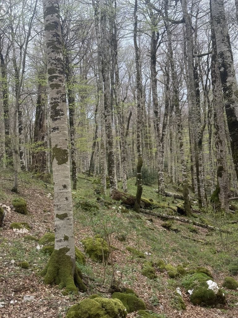 Six Weeks, Three Countries, One Return Route: Planning the End of Our Balkan Tour