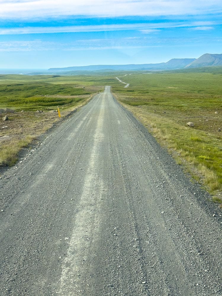 Nature, Wildlife & Light: Our First Days in Iceland's Raw Beauty