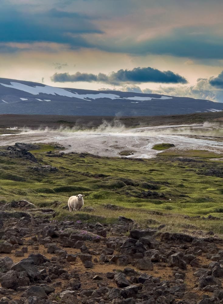 When Silence Shouts: What Loneliness Teaches You on the Road