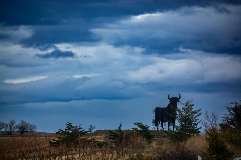 How One Year and Four Journeys Changed our Perspective