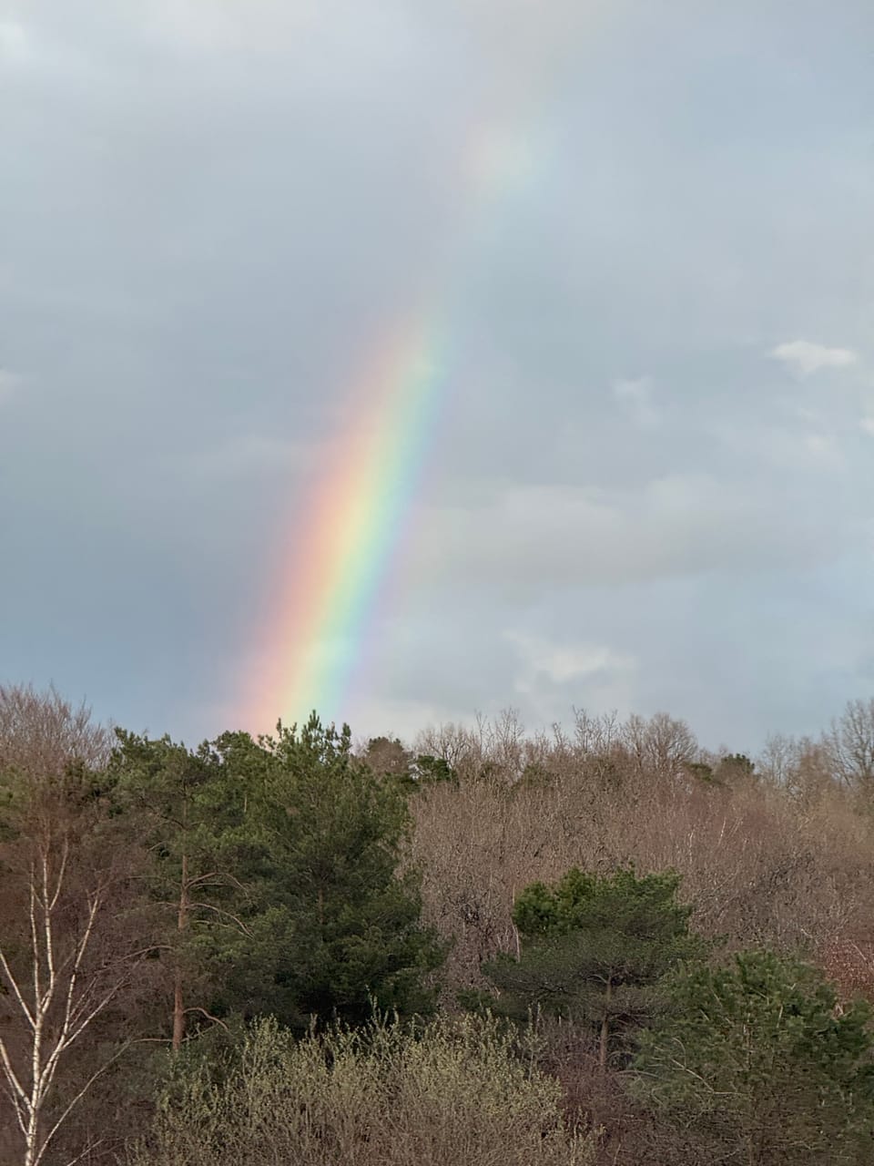 Family First: The Longest Drive North